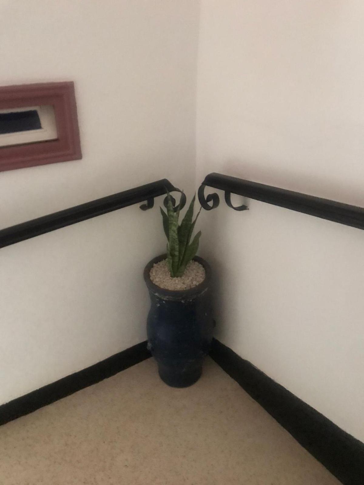 Hotel Riad Gnaoua Essaouira Bagian luar foto